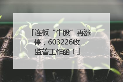 连板“牛股”再涨停，603226收监管工作函！