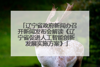 辽宁省政府新闻办召开新闻发布会解读《辽宁省促进人工智能创新发展实施方案》