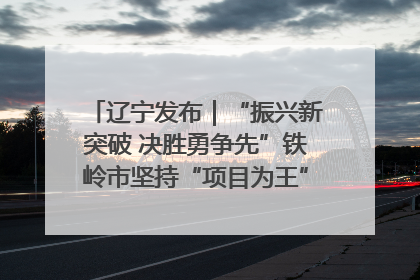 辽宁发布｜“振兴新突破 决胜勇争先”铁岭市坚持“项目为王”推进经济高质量发展