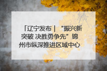 辽宁发布｜“振兴新突破 决胜勇争先”锦州市纵深推进区域中心城市建设 打造高质量发展新增长极