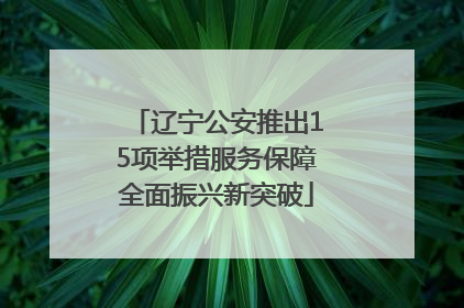 辽宁公安推出15项举措服务保障全面振兴新突破