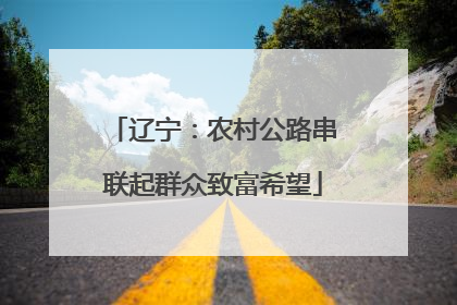 辽宁：农村公路串联起群众致富希望