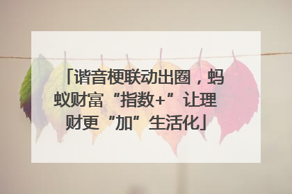 谐音梗联动出圈，蚂蚁财富“指数+”让理财更“加”生活化