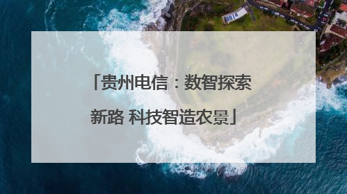 贵州电信：数智探索新路 科技智造农景