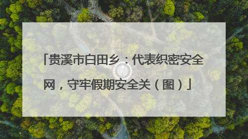 贵溪市白田乡：代表织密安全网，守牢假期安全关（图）