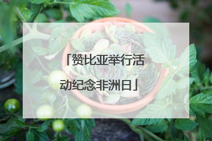 赞比亚举行活动纪念非洲日