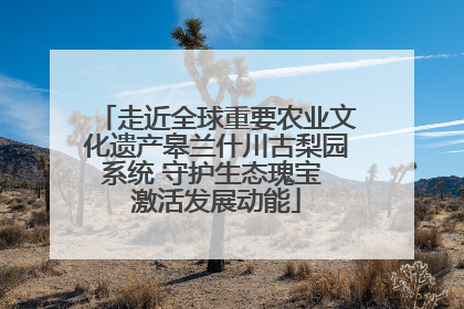 走近全球重要农业文化遗产皋兰什川古梨园系统 守护生态瑰宝 激活发展动能