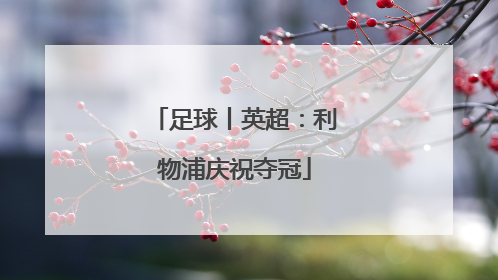 足球丨英超：利物浦庆祝夺冠