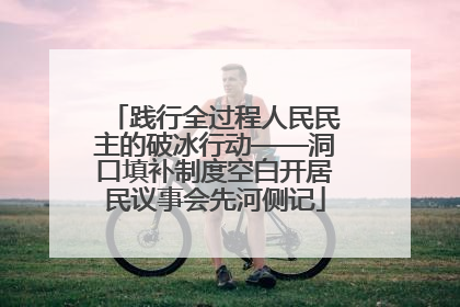 践行全过程人民民主的破冰行动——洞口填补制度空白开居民议事会先河侧记
