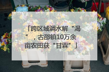 跨区域调水解“渴”，古邵镇10万余亩农田获“甘霖”