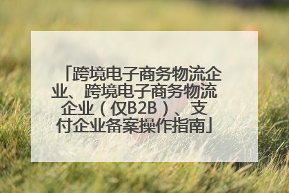 跨境电子商务物流企业、跨境电子商务物流企业（仅B2B）、支付企业备案操作指南