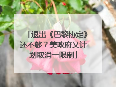 退出《巴黎协定》还不够？美政府又计划取消一限制