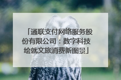 通联支付网络服务股份有限公司：数字科技绘就文旅消费新图景