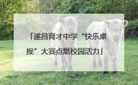 遂昌育才中学“快乐桌操”大赛点燃校园活力