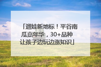 遛娃新地标！平谷南瓜嘉年华，30+品种让孩子边玩边涨知识