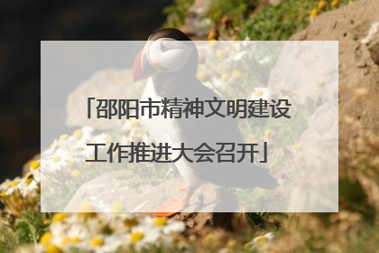 邵阳市精神文明建设工作推进大会召开