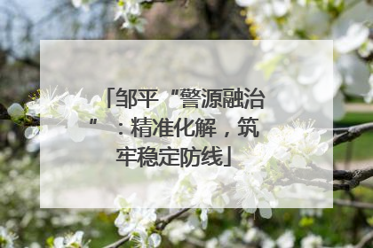 邹平“警源融治”：精准化解，筑牢稳定防线