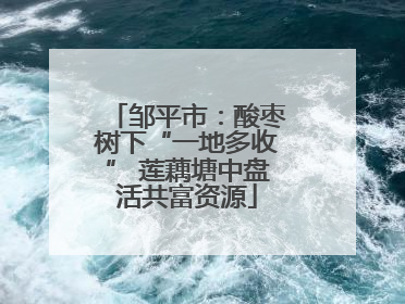 邹平市：酸枣树下“一地多收” 莲藕塘中盘活共富资源