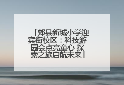 郏县新城小学迎宾街校区：科技游园会点亮童心 探索之旅启航未来