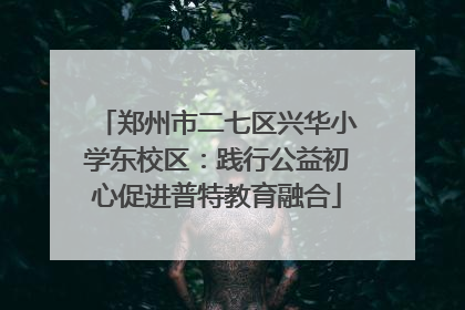 郑州市二七区兴华小学东校区：践行公益初心促进普特教育融合