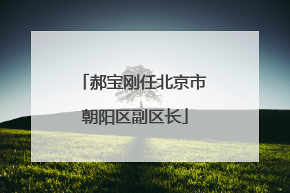 郝宝刚任北京市朝阳区副区长