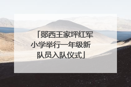 郧西王家坪红军小学举行一年级新队员入队仪式