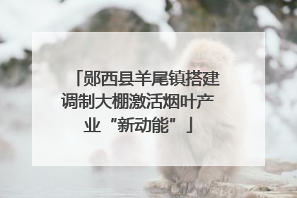 郧西县羊尾镇搭建调制大棚激活烟叶产业“新动能”