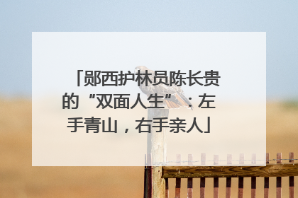 郧西护林员陈长贵的“双面人生”：左手青山，右手亲人