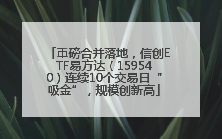 重磅合并落地，信创ETF易方达（159540）连续10个交易日“吸金”，规模创新高
