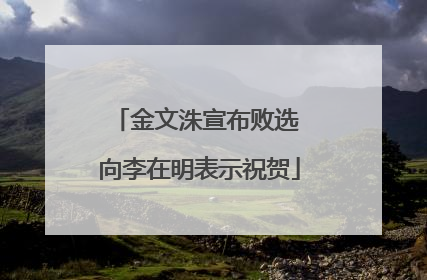 金文洙宣布败选 向李在明表示祝贺