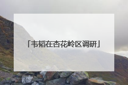 韦韬在杏花岭区调研