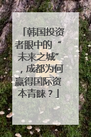 韩国投资者眼中的“未来之城”，成都为何赢得国际资本青睐？