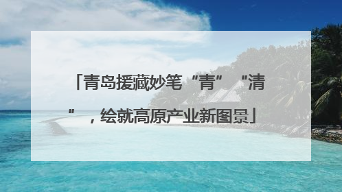 青岛援藏妙笔“青”“清”，绘就高原产业新图景