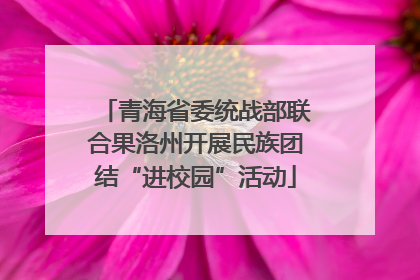 青海省委统战部联合果洛州开展民族团结“进校园”活动