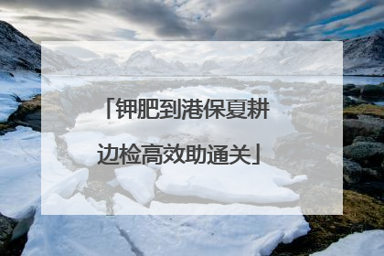钾肥到港保夏耕 边检高效助通关