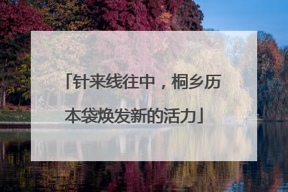 针来线往中，桐乡历本袋焕发新的活力