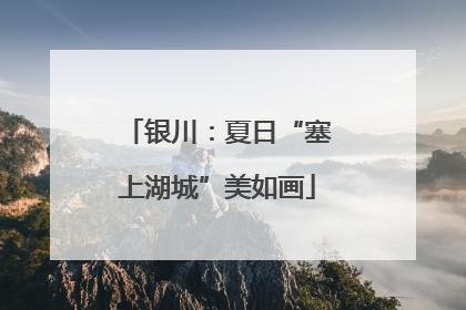 银川：夏日“塞上湖城”美如画