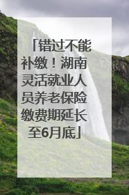 错过不能补缴！湖南灵活就业人员养老保险缴费期延长至6月底