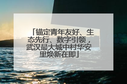 锚定青年友好、生态先行、数字引领，武汉最大城中村华安里焕新在即