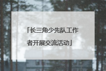 长三角少先队工作者开展交流活动