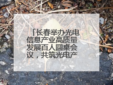 长春举办光电信息产业高质量发展百人圆桌会议，共筑光电产业创新生态