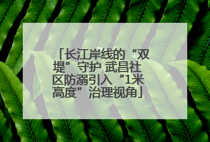 长江岸线的“双堤”守护 武昌社区防溺引入“1米高度”治理视角