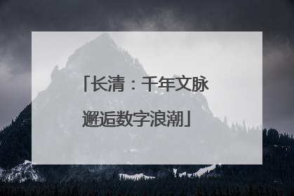 长清：千年文脉邂逅数字浪潮