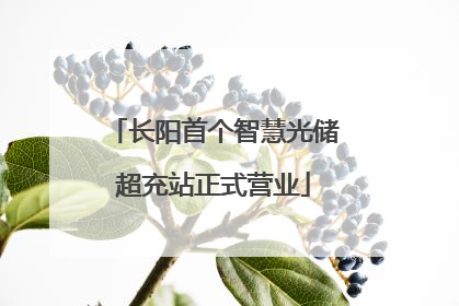 长阳首个智慧光储超充站正式营业