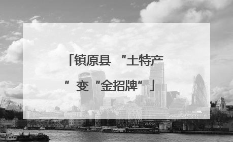 镇原县 “土特产”变“金招牌”