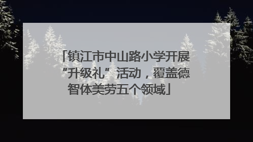镇江市中山路小学开展“升级礼”活动，覆盖德智体美劳五个领域