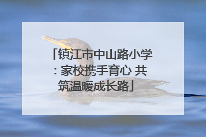 镇江市中山路小学：家校携手育心 共筑温暖成长路