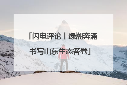 闪电评论丨绿潮奔涌 书写山东生态答卷