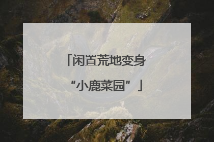 闲置荒地变身“小鹿菜园”