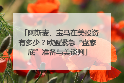 阿斯麦、宝马在美投资有多少？欧盟紧急“盘家底”准备与美谈判
